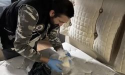 Baza başlığından uyuşturucu çıktı: 4 gözaltı