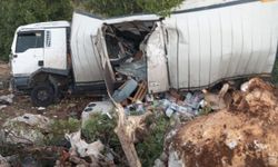 Mersin'de kamyon kazası : 2 yaralı