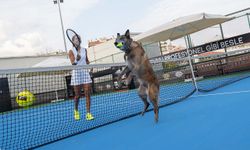 Milli Tenisçi Büyükakçay, patili dostu ile tenis oynadı