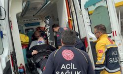 Dolmuş minibüs kaldırıma çarptı: 2 yaralı