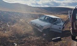 Otomobil şarampole devrildi: 2 yaralı