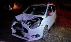 Bingöl'de trafik kazası: 2 yaralı