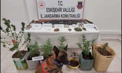 Eskişehir'de uyuşturucu ve silah bulunduran 7 şüpheli jandarma tarafından yakalandı