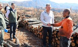 Köyceğiz'de yanan sahalar fidan dikimi için hazırlanıyor
