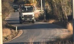 Tekören yolunda uzayan ağaç dalları sürücülere zorluk yaşatıyor