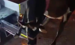 Evin damında mahsur kalan inek vinçle kurtarıldı