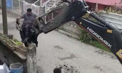 Köpeklerden kaçtı, direkte mahsur kaldı