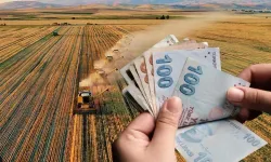Eskişehir’de zirai dondan etkilenen çiftçilere destek ödemeleri başlayacak!