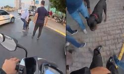 Sokakta ağızlıksız gezdirilen ’Rottweiler’ cinsi köpek dehşet saçtı...