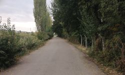 2Eylül yazdı, Tepebaşı Belediyesi o sokağı tertemiz yaptı