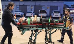 Ceviz ağacından düşen adam ağır yaralandı