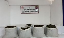 93 kilo yasaklı madde ele geçirildi