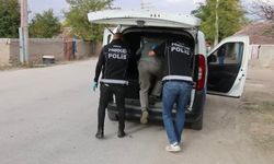 Polisten Alpu’da uygulama: yasaklı madde ve silah ele geçirildi