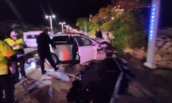 Eski eşi ve kayınvalidesini öldüren şüpheli kendini vurdu