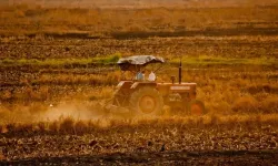Tarlada zarar, pazarda zam: Eskişehir’de üretici dertli