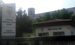 Peyzaj Tasarımı ve Çevre Düzenleme İşi