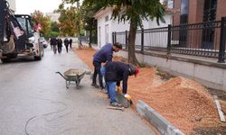 Eskişehir'in o mahallesinde kaldırım çalışmaları sürüyor