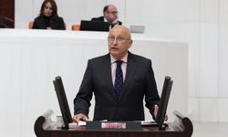 Çakırözer’den meclise çağrı: Demokrasi ve özgürlükler masası kurulsun!