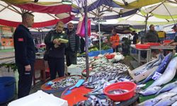 Eskişehir'de balık satış yerlerine denetim: İdari para cezaları uygulandı