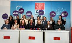 CHP Eskişehir Kadın Kolları’ndan 25 Kasım açıklaması: “Şiddete mecbur değiliz!”