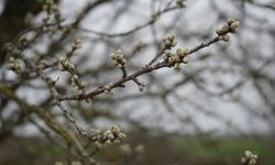 Asıl gözleri kaybettik: Eskişehir'de kuraklık alarm veriyor!