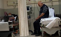 Ormandaki mantarları yiyen 7 kişi hastanelik oldu