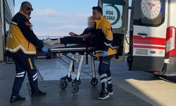 Burdur’da sokak köpekleri küçük kıza dehşeti yaşattı