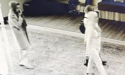 Girdikleri sitede 750 binlik vurgun yaptılar