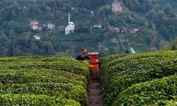 Rize’de dev çay bardağıyla yapılan çekim olay oldu