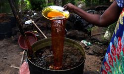 Malezya ile ABD arasında palm yağı savaşı