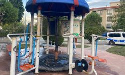 Parkta oynayan çocuklar oyuncağı ateşe verdi