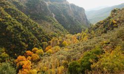 EKODOSD özgün klima özelliği ile bilinen Koçak Kanyonu’na dikkat çekti