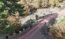 Komşu ilde 2 yıl önce kaybolmuştu: Arama çalışmaları yeniden başlatıldı!