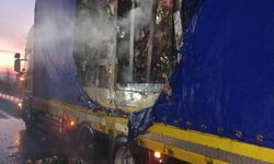 Bolu'da kuruyemiş yüklü dorse yandı