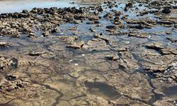 Siirt’te balık teleflerine karşı gölete 150 tonluk su takviyesi