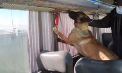 Otobüs bagajında skunk düzeneği: 8 kilo zehir ele geçirildi