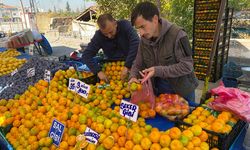 Eskişehir'de mandalinanın fiyatı geçen seneye göre yüzde 30 düştü