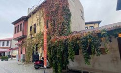 Bitkiler ile kaplanan tarihi yapı kartpostallık manzara oluşturuyor