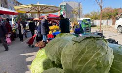 Eskişehir pazarında devasa lahanalar