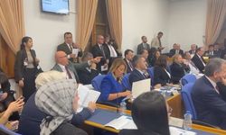 TBMM Plan Bütçe Komisyonu'nda ‘elektrik kesintisi' tartışması