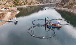 Mezopotamya Somonu Dünyaya Açılıyor