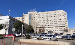 Öğrenciler hamburgerden zehirlendi!