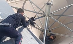 Çatıda mahsur kalan kediyi itfaiye kurtardı