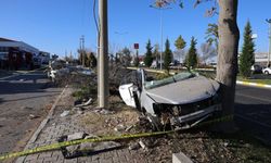 Ağaca çarpan otomobil ikiye bölündü: 2 ölü 1 yaralı!