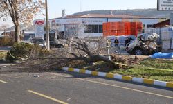 İkiye bölünen otomobil genç arkadaşlara mezar oldu!