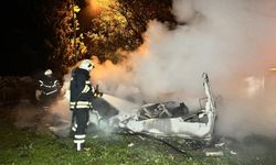 Annesinin mezarına gitti ölümden kurtuldu