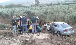 Otomobil zeytin bahçesine uçtu