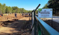 Eskişehir'deki orman şehidi Enes Kızılyer'in adına o ilde çeşme yapıldı!