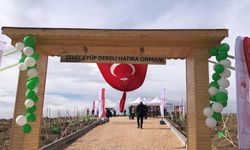 Eskişehir'de orman şehidi Eyüp Dereli adına oluşturulan alana 15 bin fidan dikildi