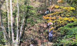 Kayıp annenin cesedini kuzgunu takip eden vatandaşlar bulmuş